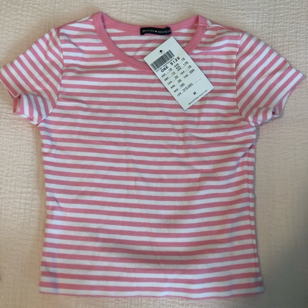NWT Pink & white striped brandy melville crop top
